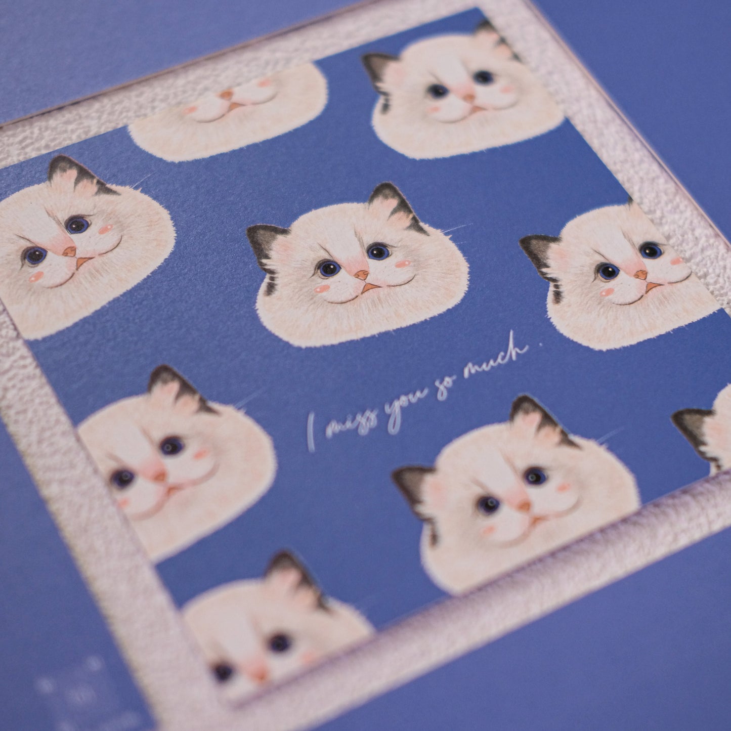 Little Ragdoll Set