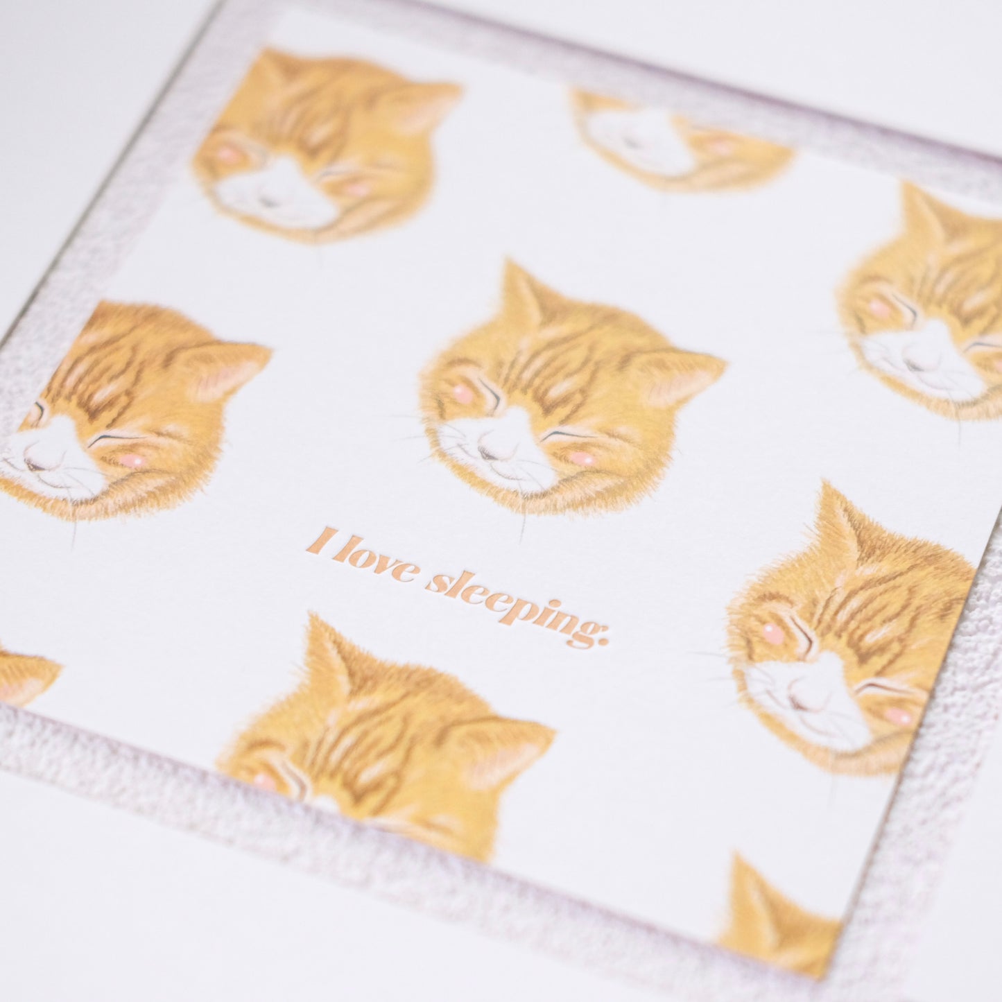 The Tiny Yellow Cat Set