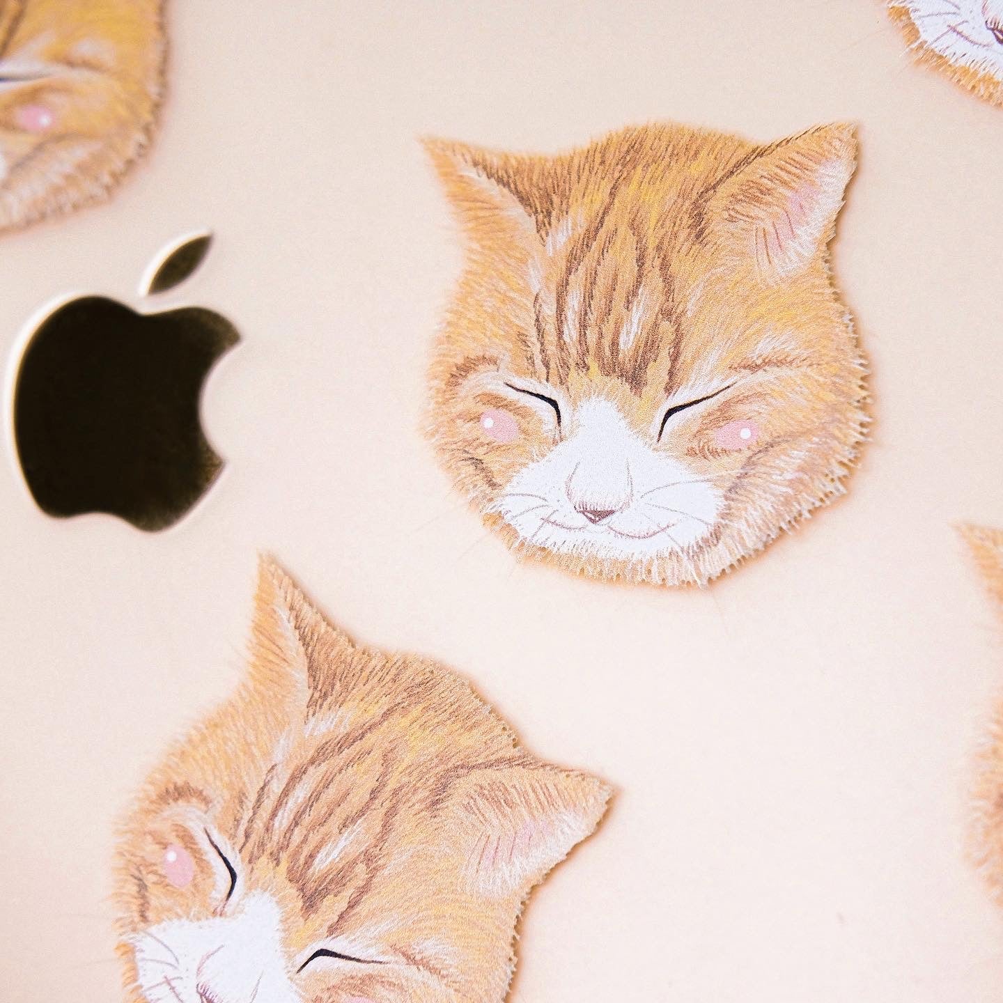 The Tiny Yellow Cat Set