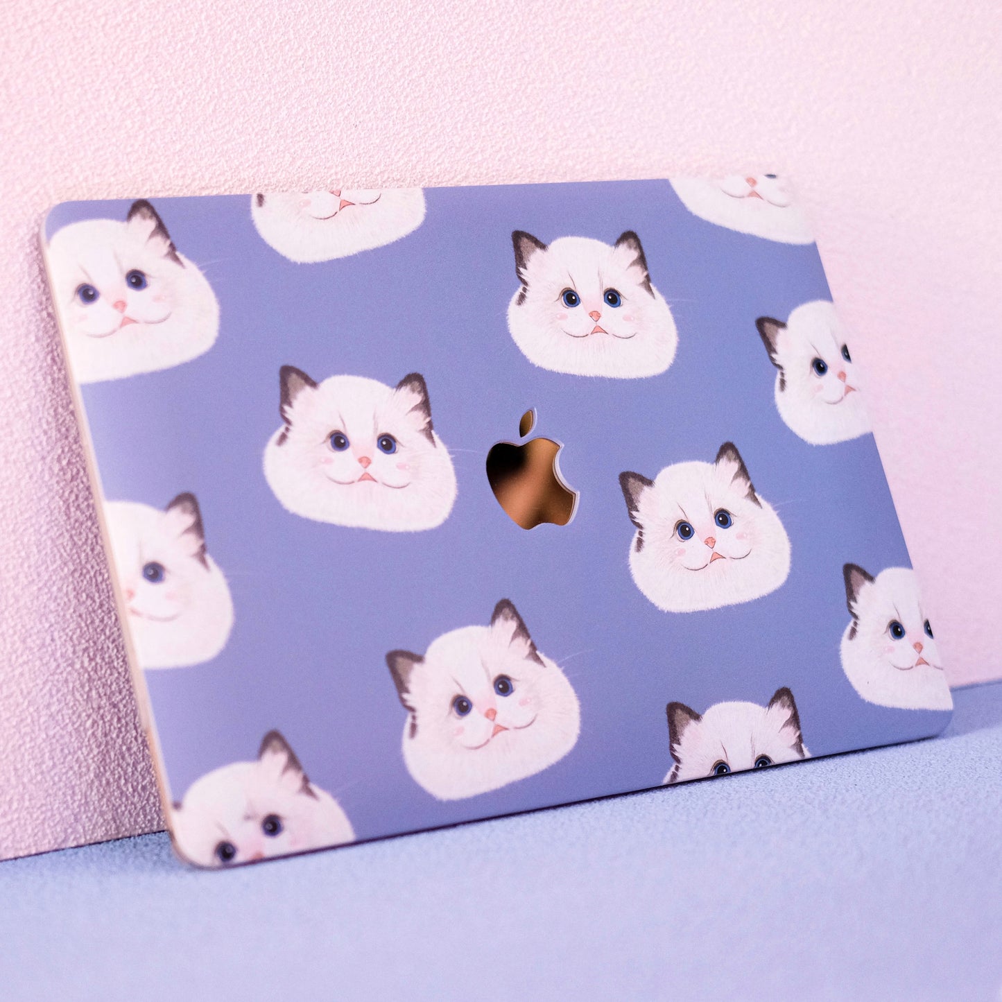 Little Ragdoll Set
