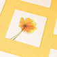 Yellow Chrysanthemum Thank you Card